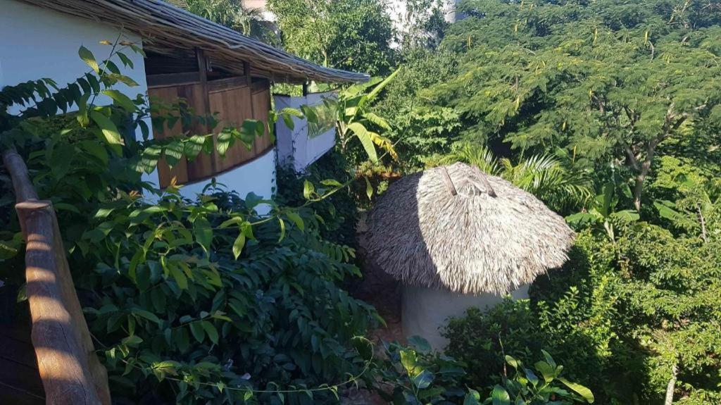 Bamboojam Villa Las Terrenas Exteriör bild